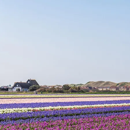 Celina - Juliana Aan Zee Διαμέρισμα