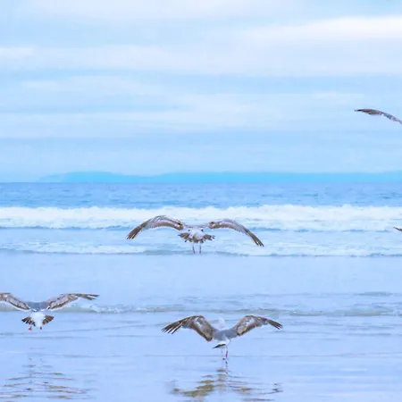 Celina - Juliana Aan Zee アパート