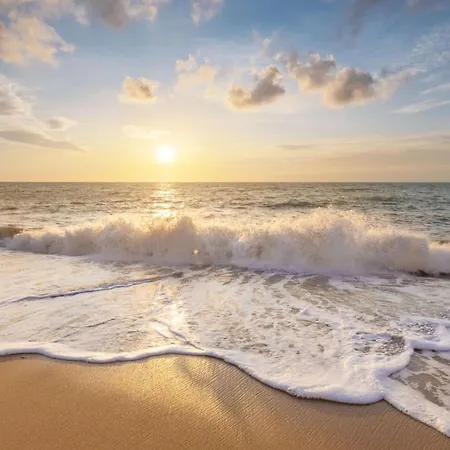 アパート Celina - Juliana Aan Zee ユリアーナドルプ