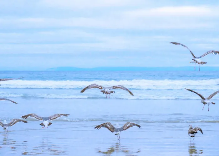 Celina - Juliana Aan Zee アパート